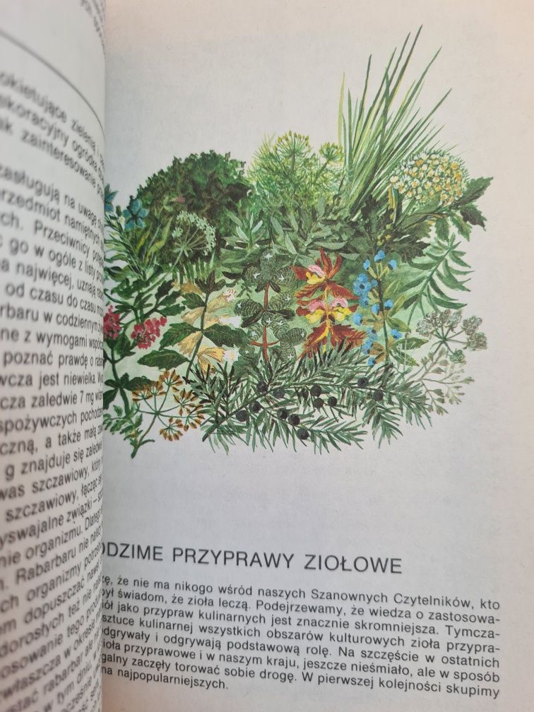 Warzywa w kuchni i spiżarni - Zofia Zawistowska