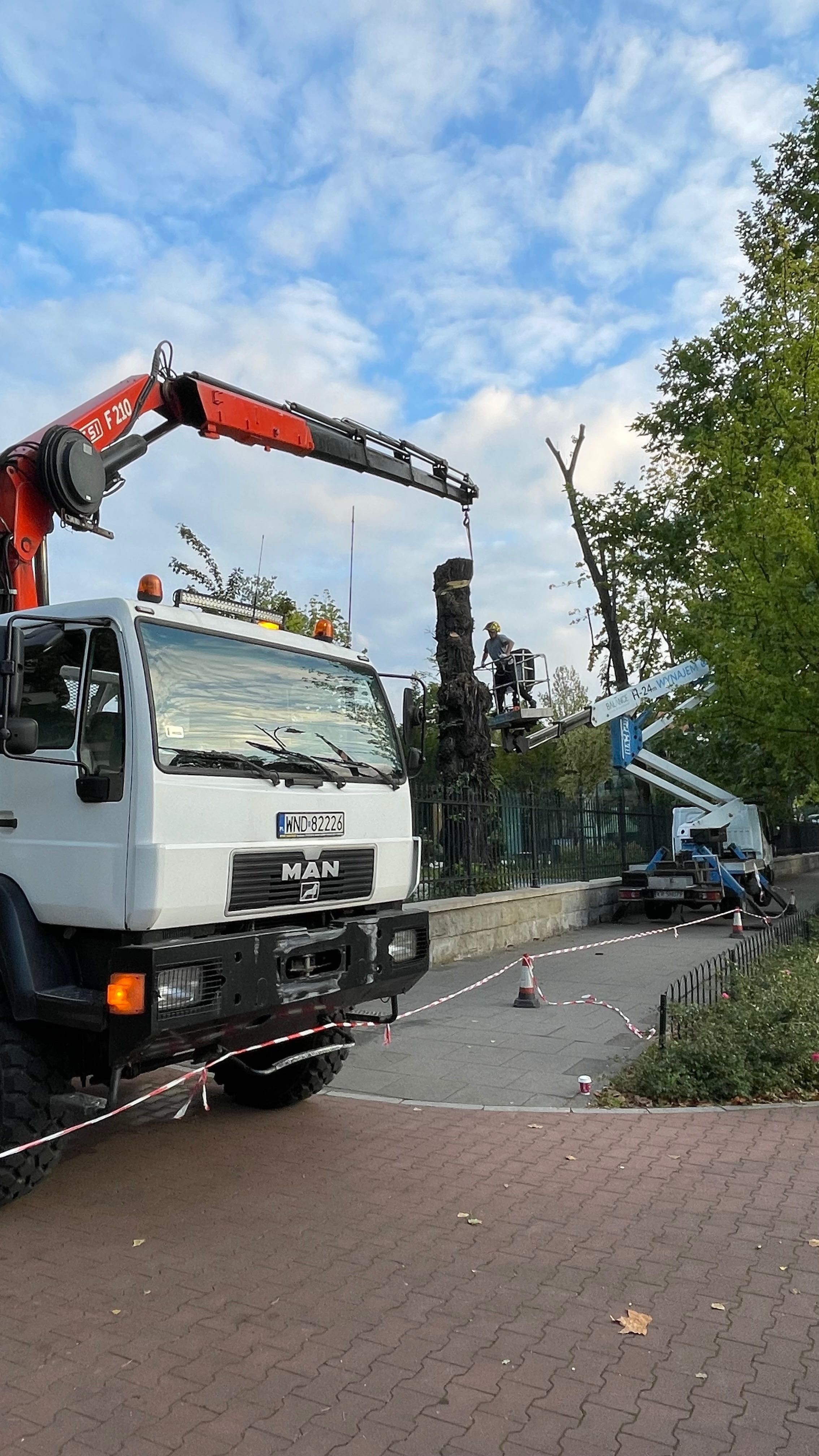 Transport HDS 4x4 usługi alpinistyczne wycinka drzew Kraków okolice