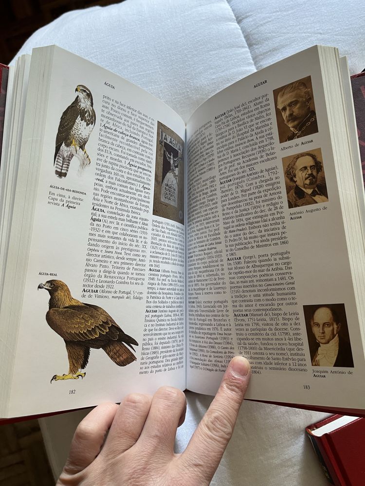 Coleção Completa – Nova Enciclopédia Larousse (22 volumes)