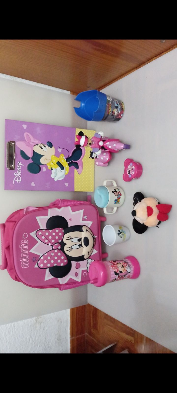 Vários Artigos da Minnie e do Mickey
