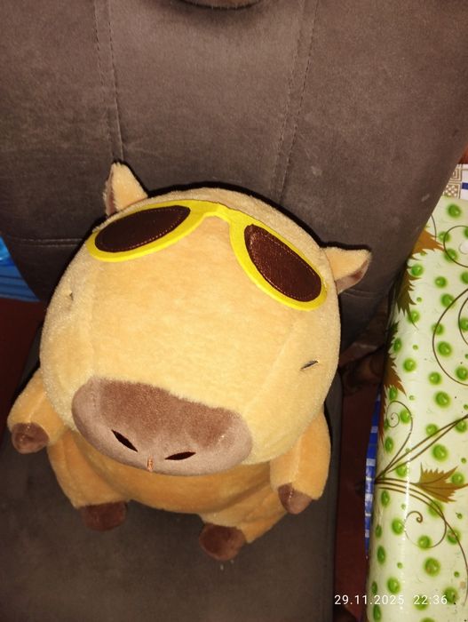 Продам капібару,майже нова