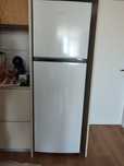 Frigorífico BECKEN BDD5394 WH (No Frost - 167.6 cm - 246 L - Branco)