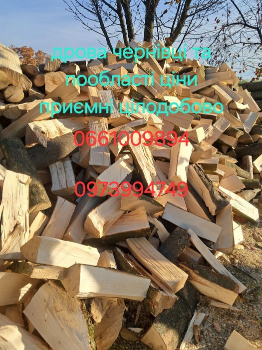 Дрова тверда порода