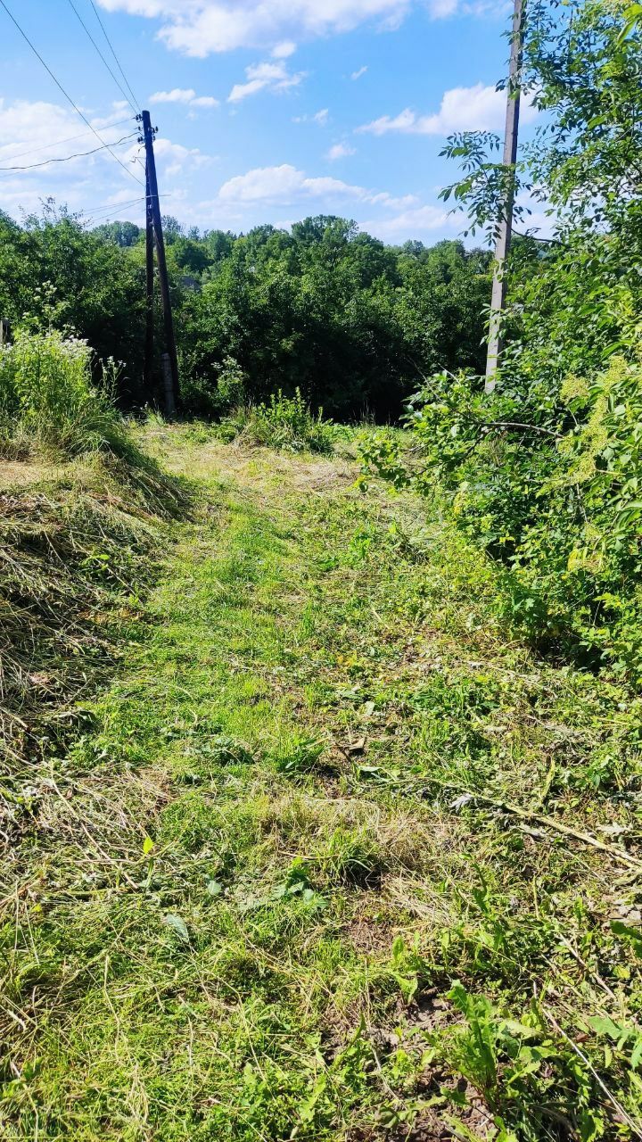 Будинок з ділянкою в с.Іванківці