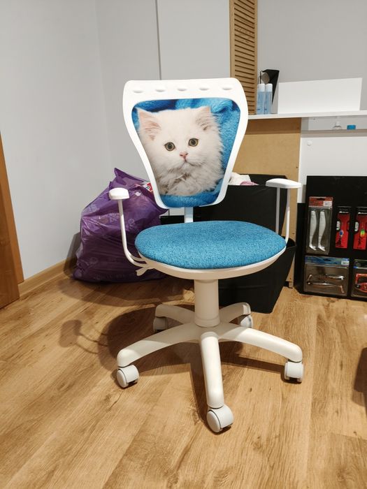 Krzesełko krzesło obrotowe kotek dla miłośnika kotków