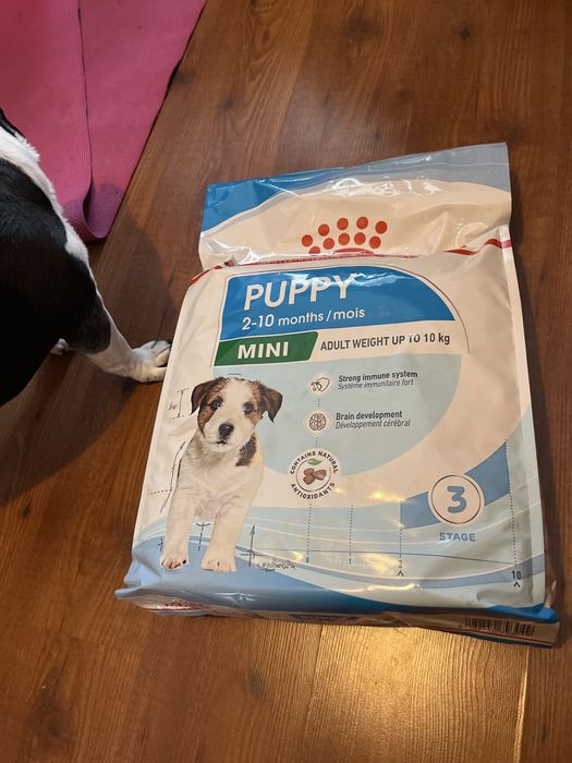 Ração para cão - Royal canin ração puppy 8kg