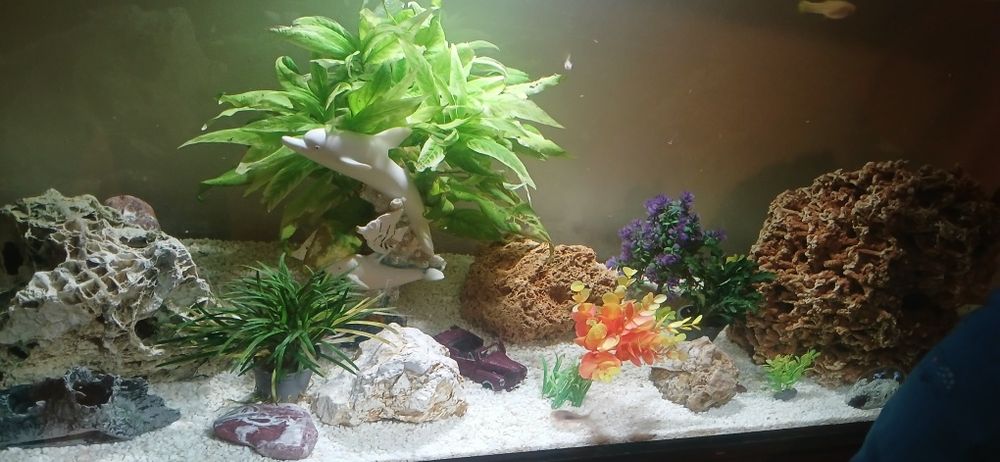 Sprzedam Akwarium 240l