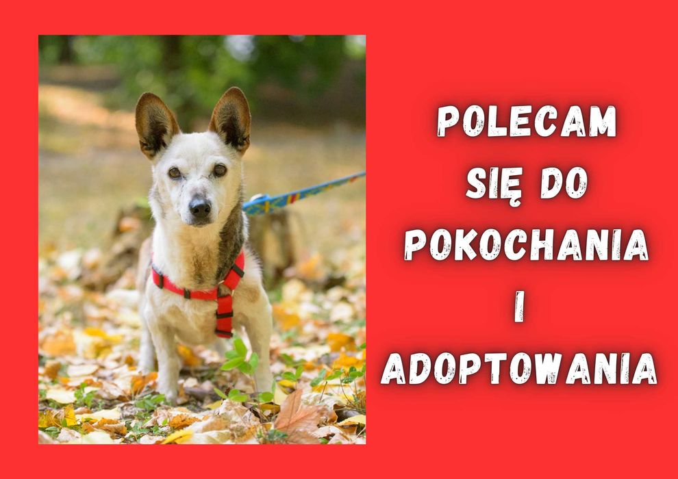 LEJA - marzy o nowym domu i rodzinie :)