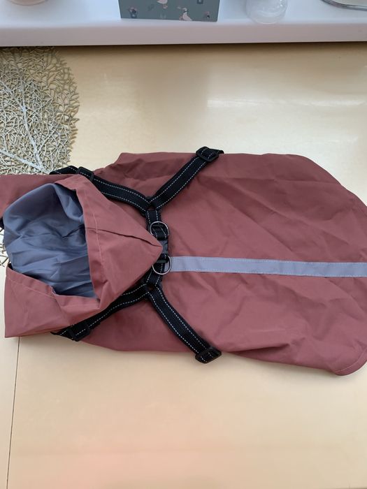 Одежда доя собак