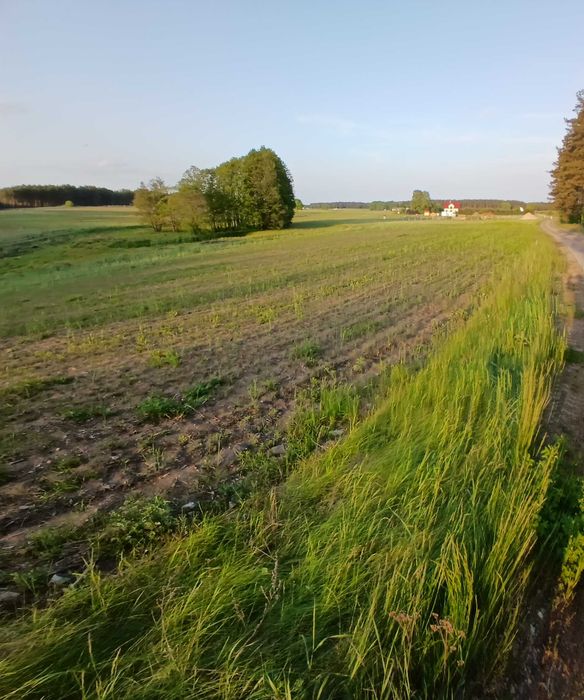 Działka  rolno budowlana 30km od miasta z lasem-zamiana