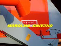 Rozdrabniacz słomy Bizon Rekord Super sieczkarnia Wągrowiec Z-056 Z058