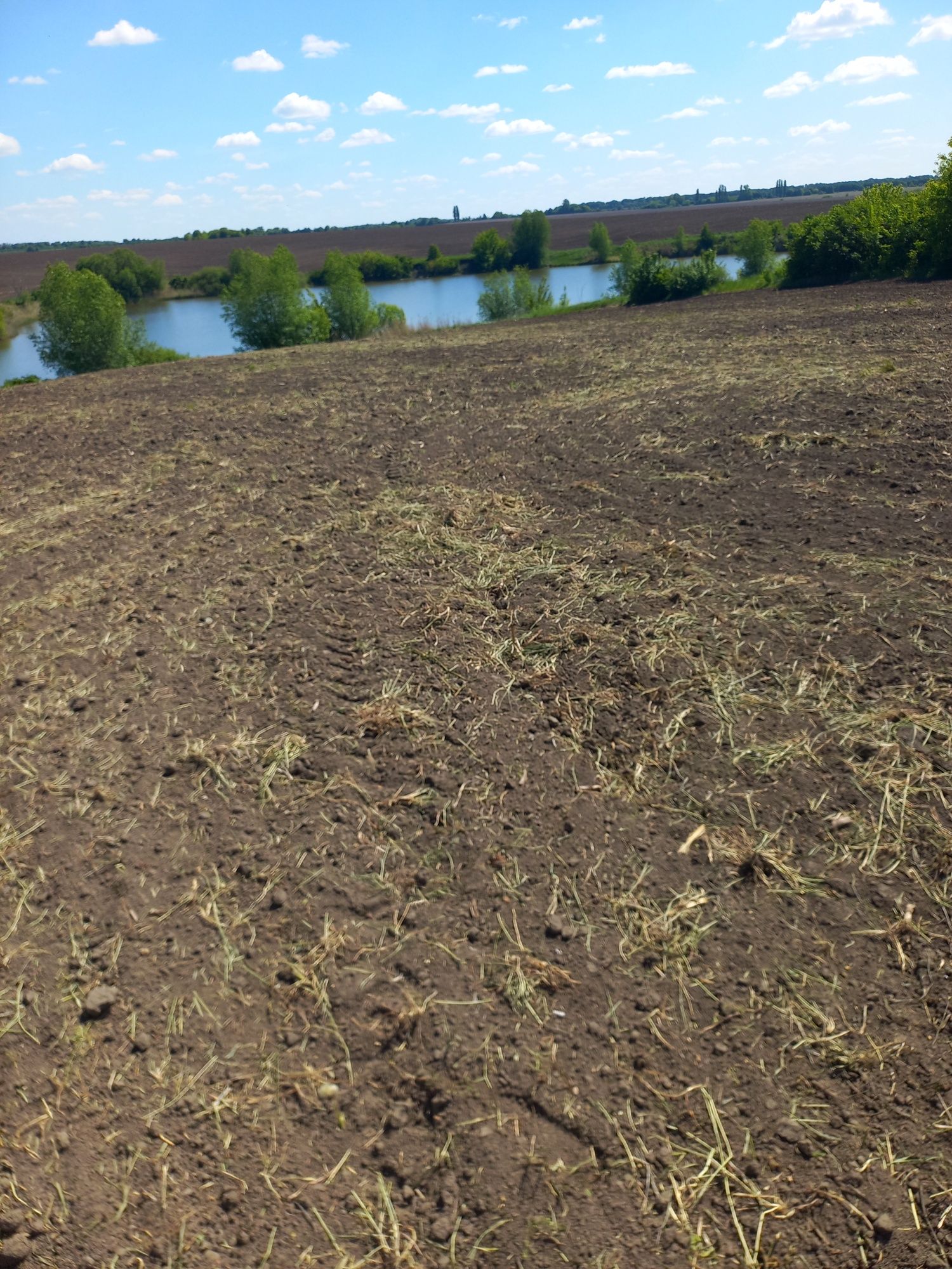 Продаж землі біля озера  в Петрівці ( за Турбовом)