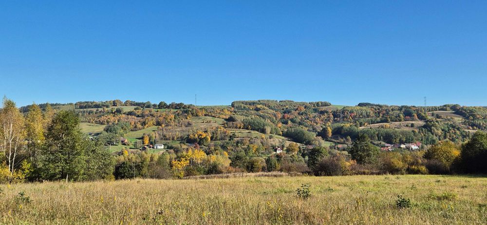 Na sprzedaż działka 56 arów  Żyznów