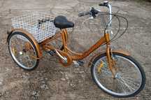 Triciclo cargo ( bicicleta de 3 rodas )