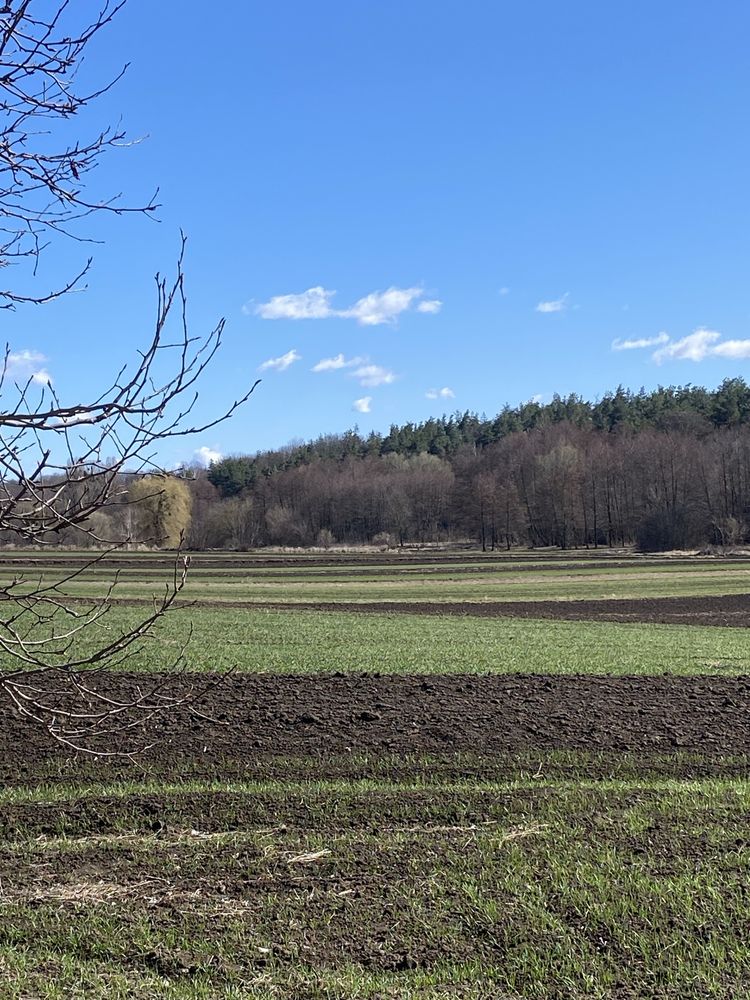 Продаж будинку с. Фастівка біля лісу