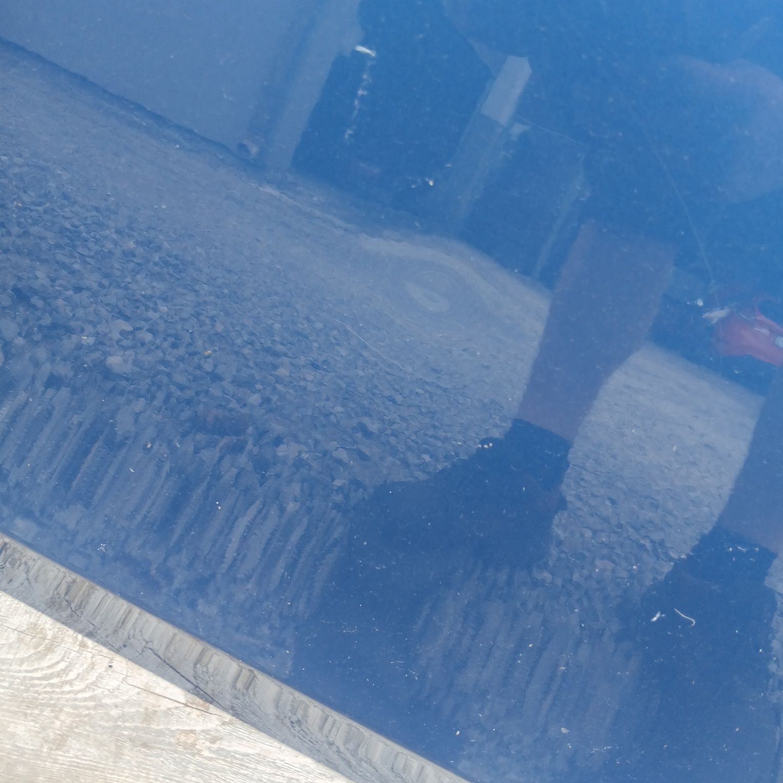 Drzwi lewy przód Audi A4 b8