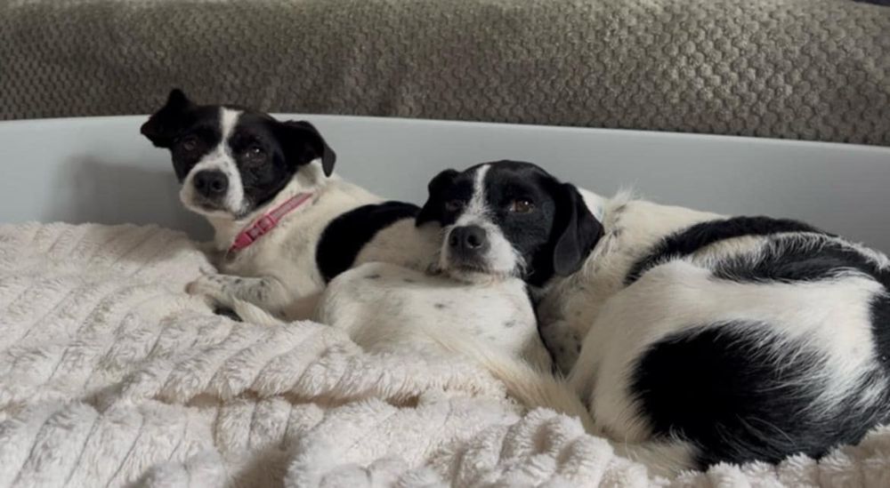 Matka z synem do adopcji 7kg
