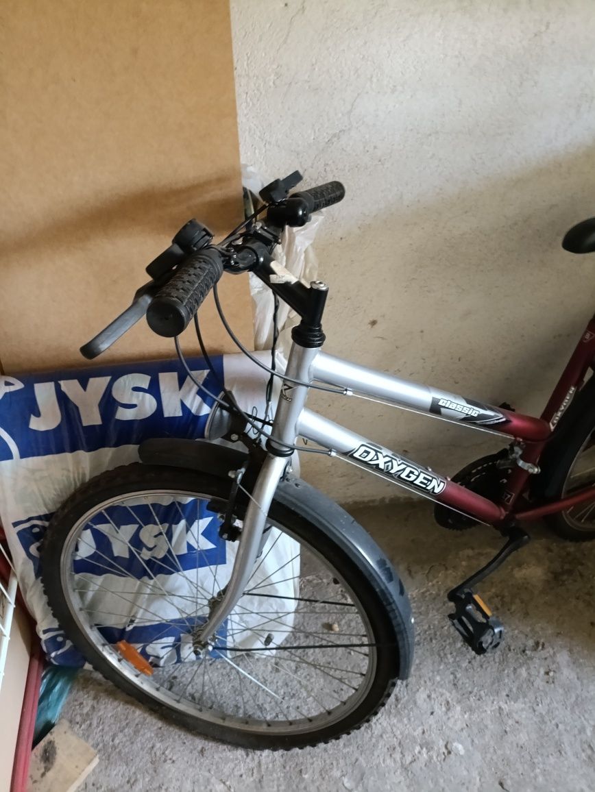Rower Oxygen Clasic 26 cali damka