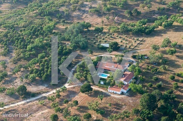 Herdade e Monte Perto da Barragem de Montargil – Oportunidade Única!