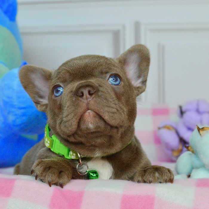 Неймовірні малюки у пошуках люблячих родин!