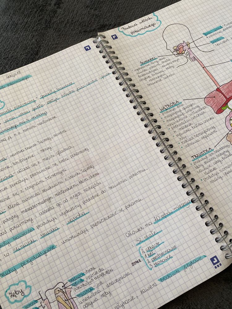 Zeszyt z notatkami z biologii rozszerzonej