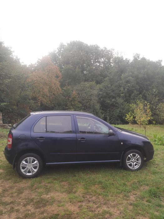 Skoda fabia 1,4 2004 р