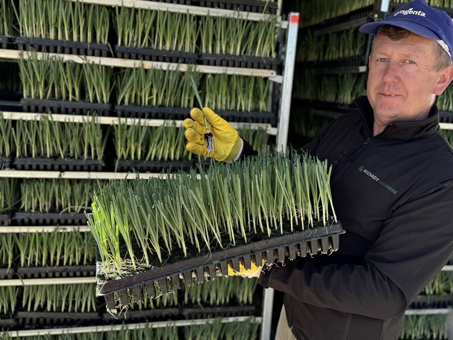 Por Jolant Blizzard bulgina