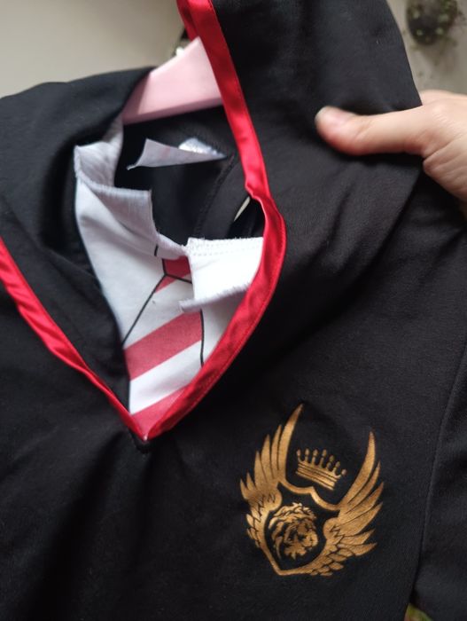 Strój karnawałowy, przebranie halloween, kostium Harry Potter 116