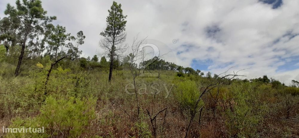 Terreno com microclima  para  Lima - Caviar