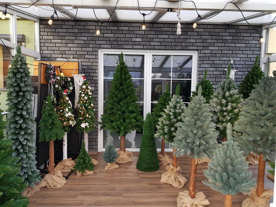 Choinka Choinki na pniu sosna świerk diamentowa ośnieżona