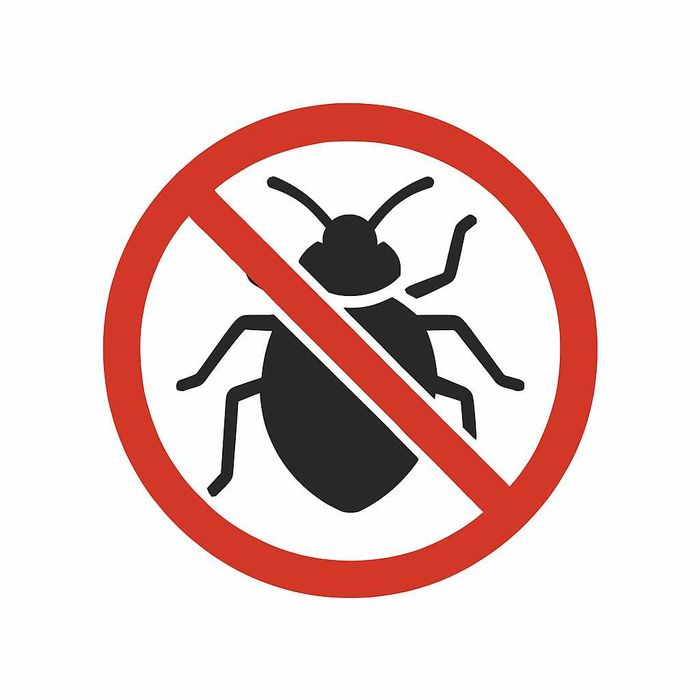 Odpluskwianie, dezynsekcja, pluskwy, zwalczanie insektów, pluskwa, DDD