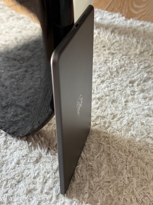 Apple iPad Mini 5 256Gb
