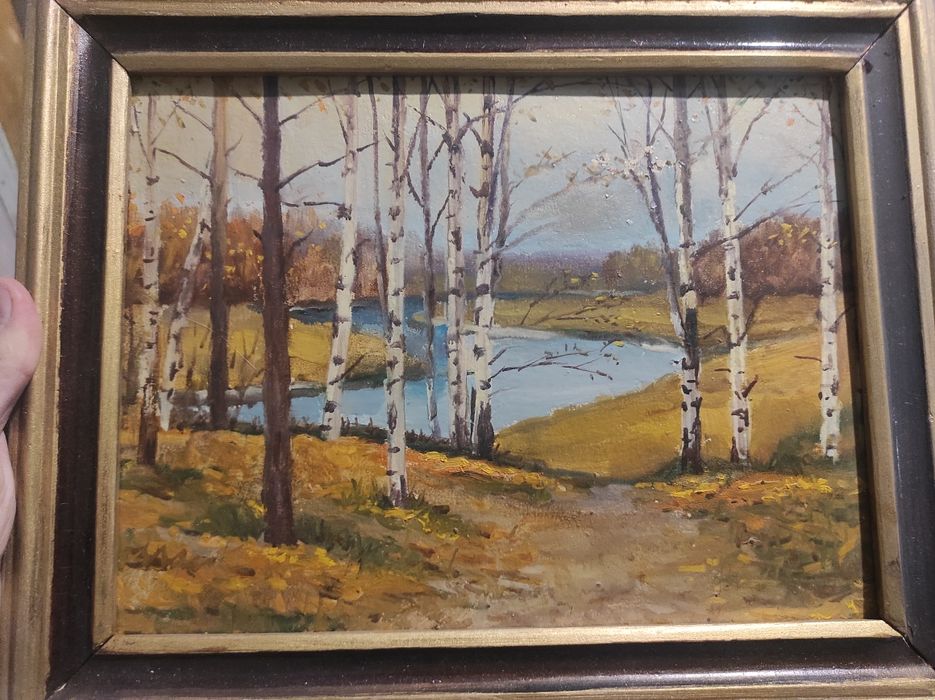 Продам картини з природою та пейзажами, рамка