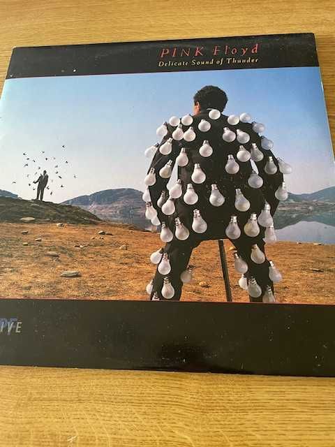 Pink Floyd - Delicate Sound of Thunder.