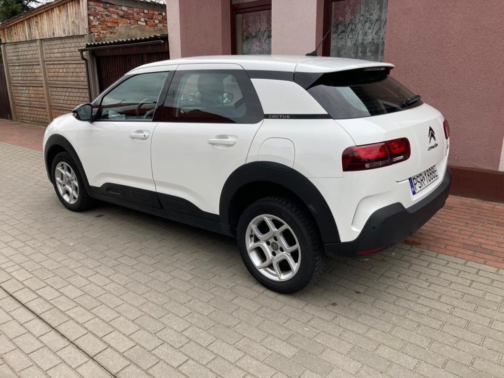 Citroen C4 Cactus 1,5 Blue HDI, 102KM, 2019r.