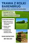 Trawa z rolki realizacja w 24h