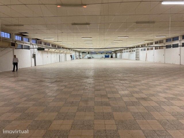 Armazém para arrendar em Muge - Salvaterra de Magos