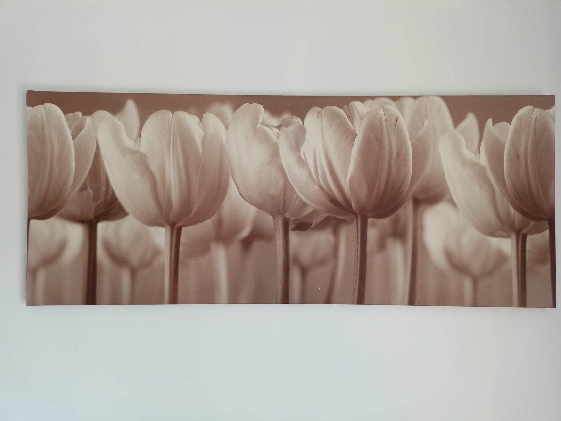 Tela/quadro tulipas IKEA