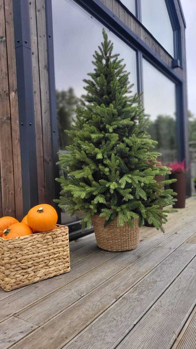 Choinka jak żywa świerk PE w donicy 110 cm Nowość 2024