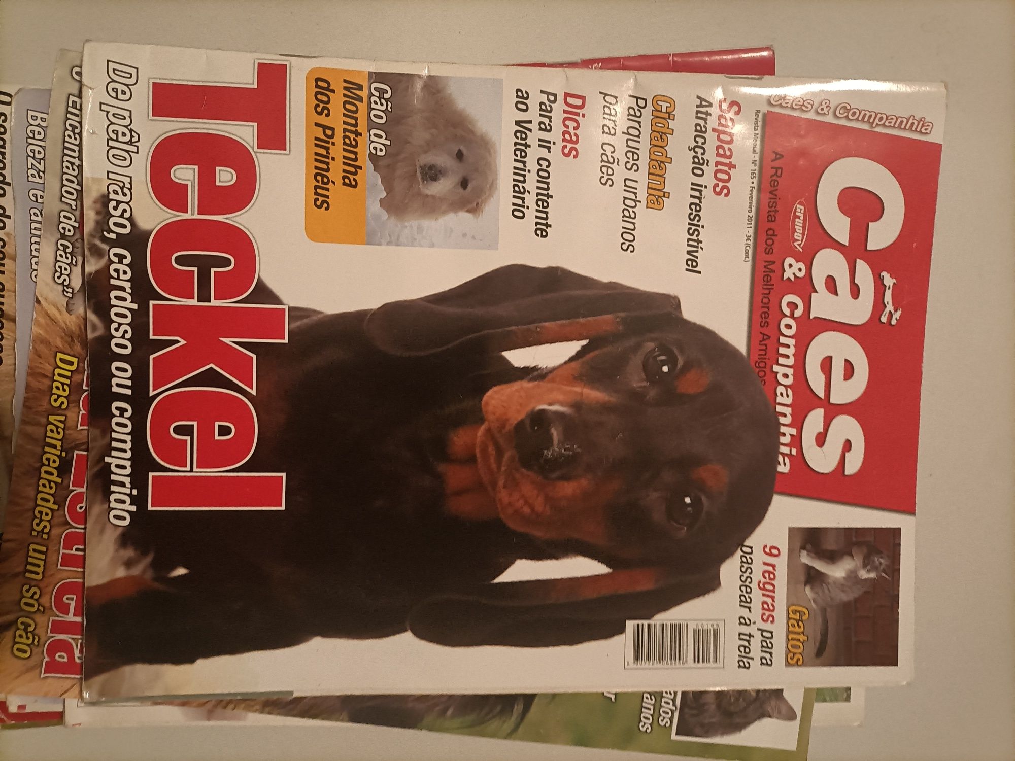 Revistas Cães e companhia