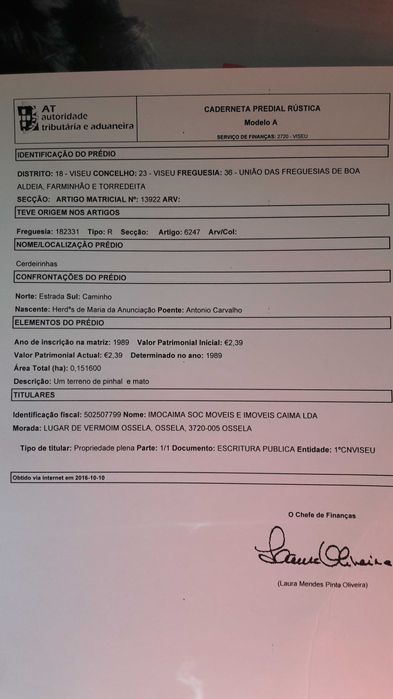 Terreno torredeita viseu