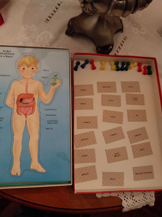 Jogo de tabuleiro, Anatomia, da Majora, 6-9 anos, 1-4 jogadores