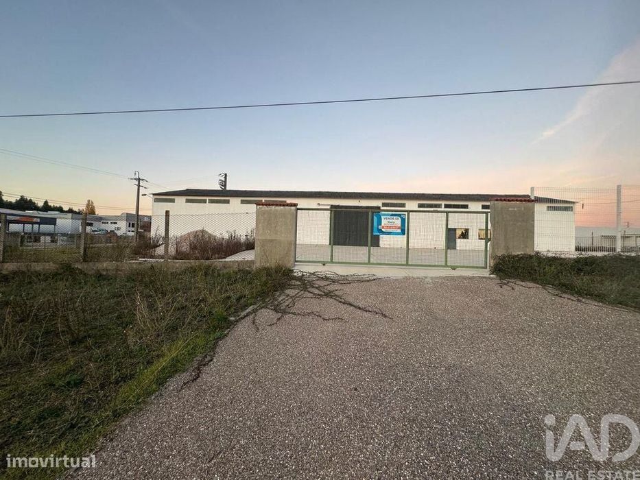 Loja / Estabelecimento Comercial em Madalena e Beselga de 667,00 m2