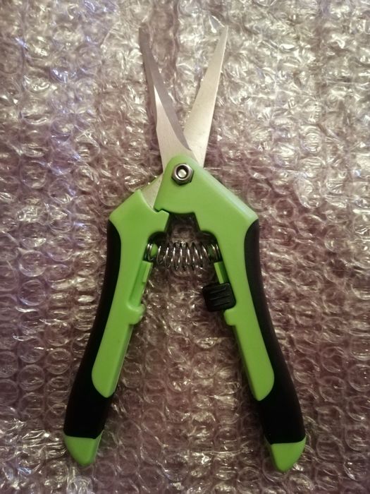 Сікатор-ножиці для кімнатних рослин.