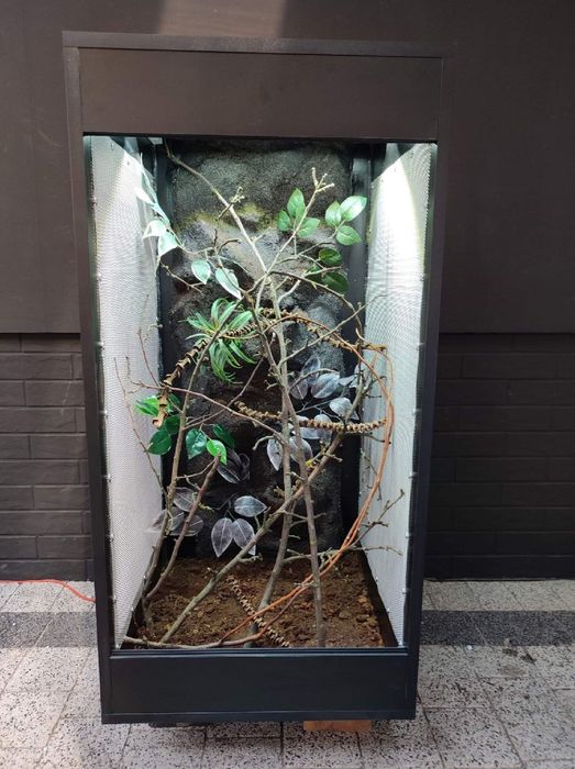 Terrarium kameleon jaszczurka PETMARKET