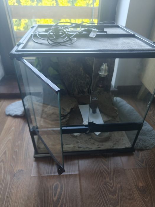 Terrarium dla gada