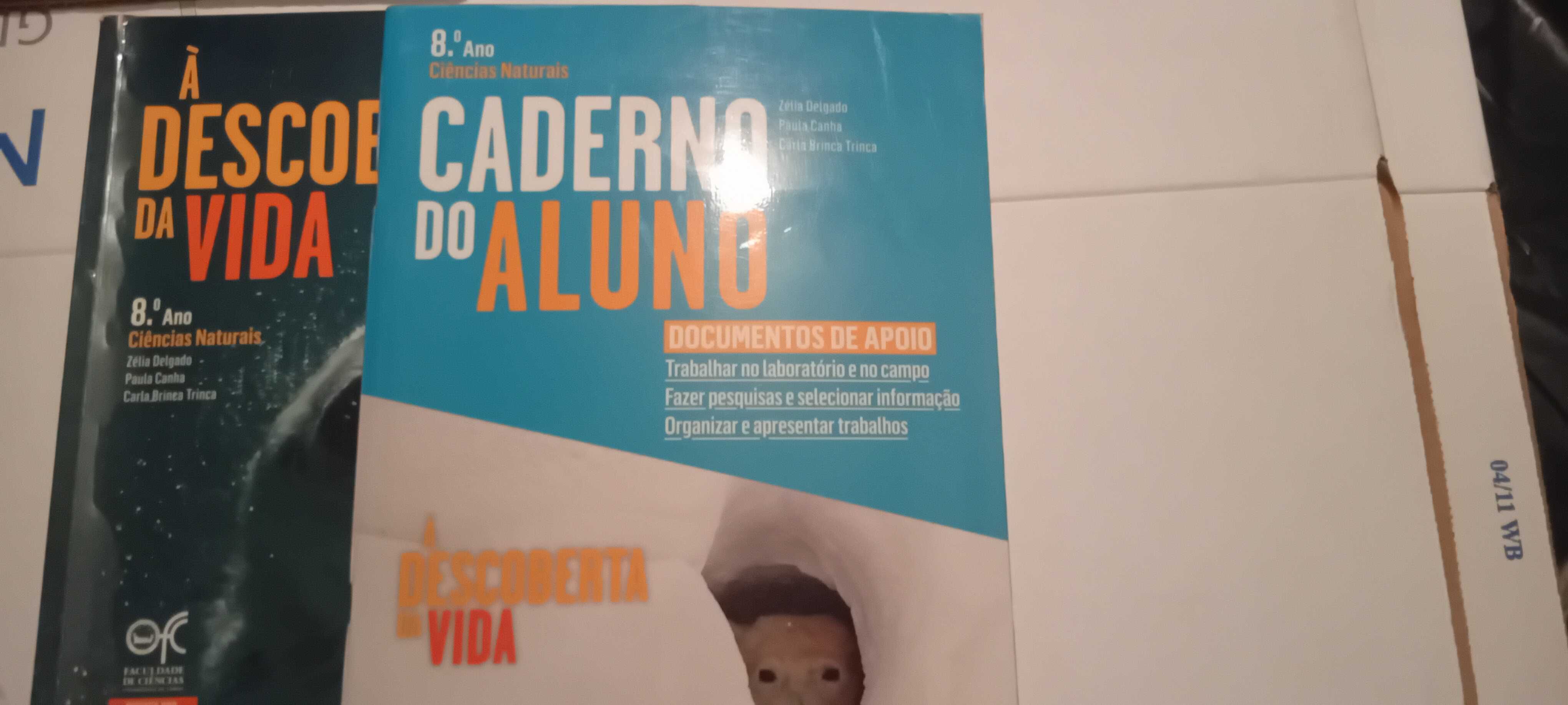 Manuais Escolares 8° ano