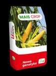 Nasiona kukurydzy mieszańcowej F1 Piast/Camaro/Camarino