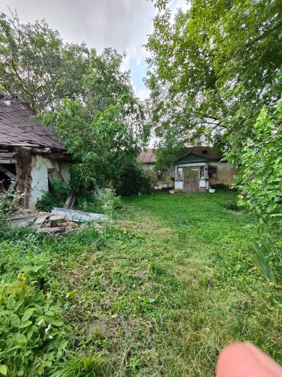 Продається Земельна ділянка в с. Лісових Гринівці
