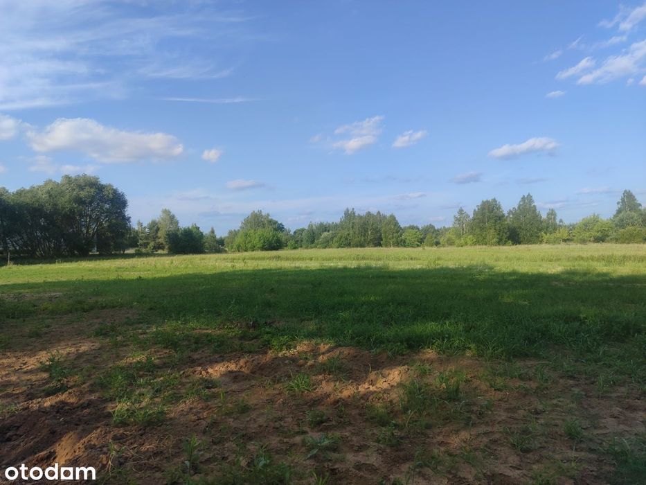 Działka budowlana między S7 a Parkiem Kampinowskim.